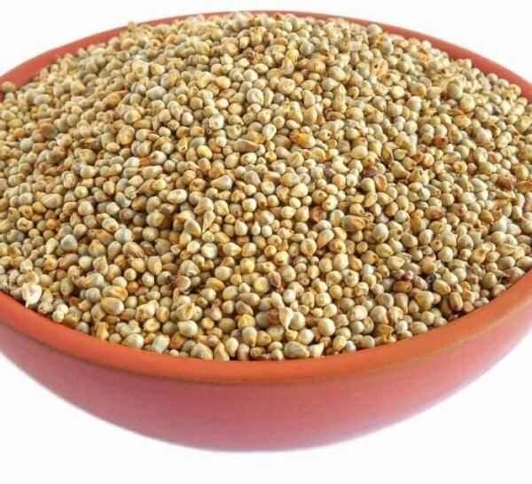 PEARL MILLET 500 GMS - Premium