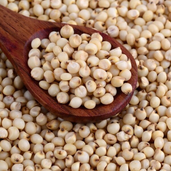 SORGHUM MILLET 500 GMS - Premium